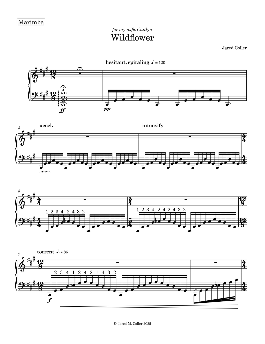 Wildflower - PDF